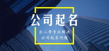 公司免费起名有哪些(公司免费起公司名称)